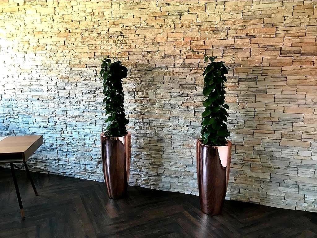 Hohe Zimmerpflanzen in eleganten Pflanzgefäßen vor einer Steinwand – Innenraumbegrünung von Vessa Floristik